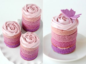 Ombre mini cakes